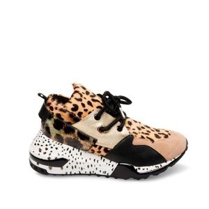 Steve Madden | Cliff Animal Sneakers